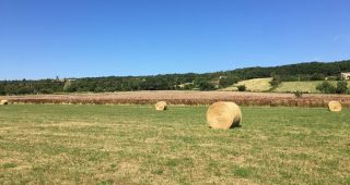 ccc10-180707-PLOTTES-photo-19